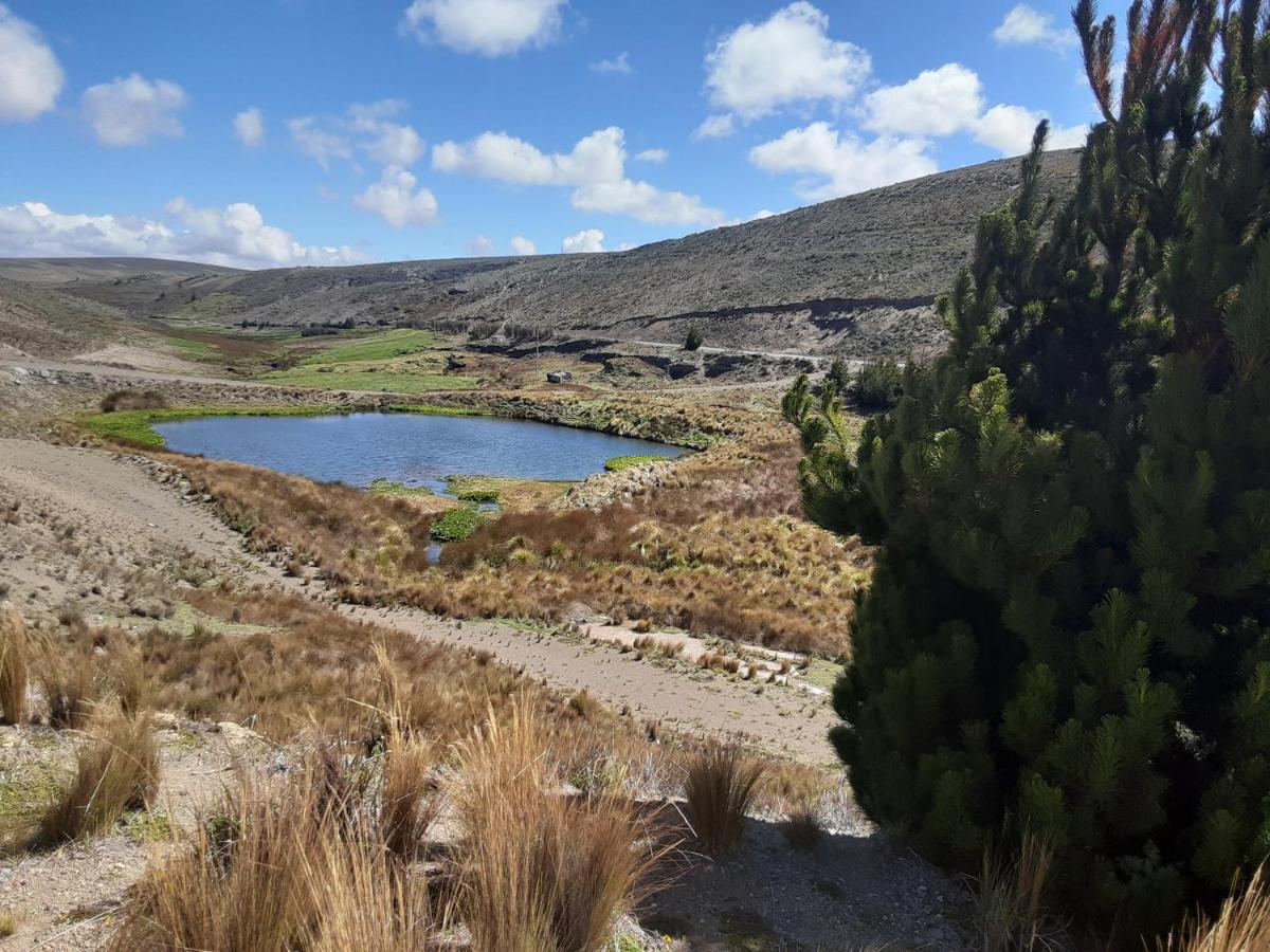 Hospedaje Chimborazo Exteriör bild